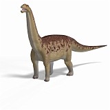 Camarasaurus 02 A_0001